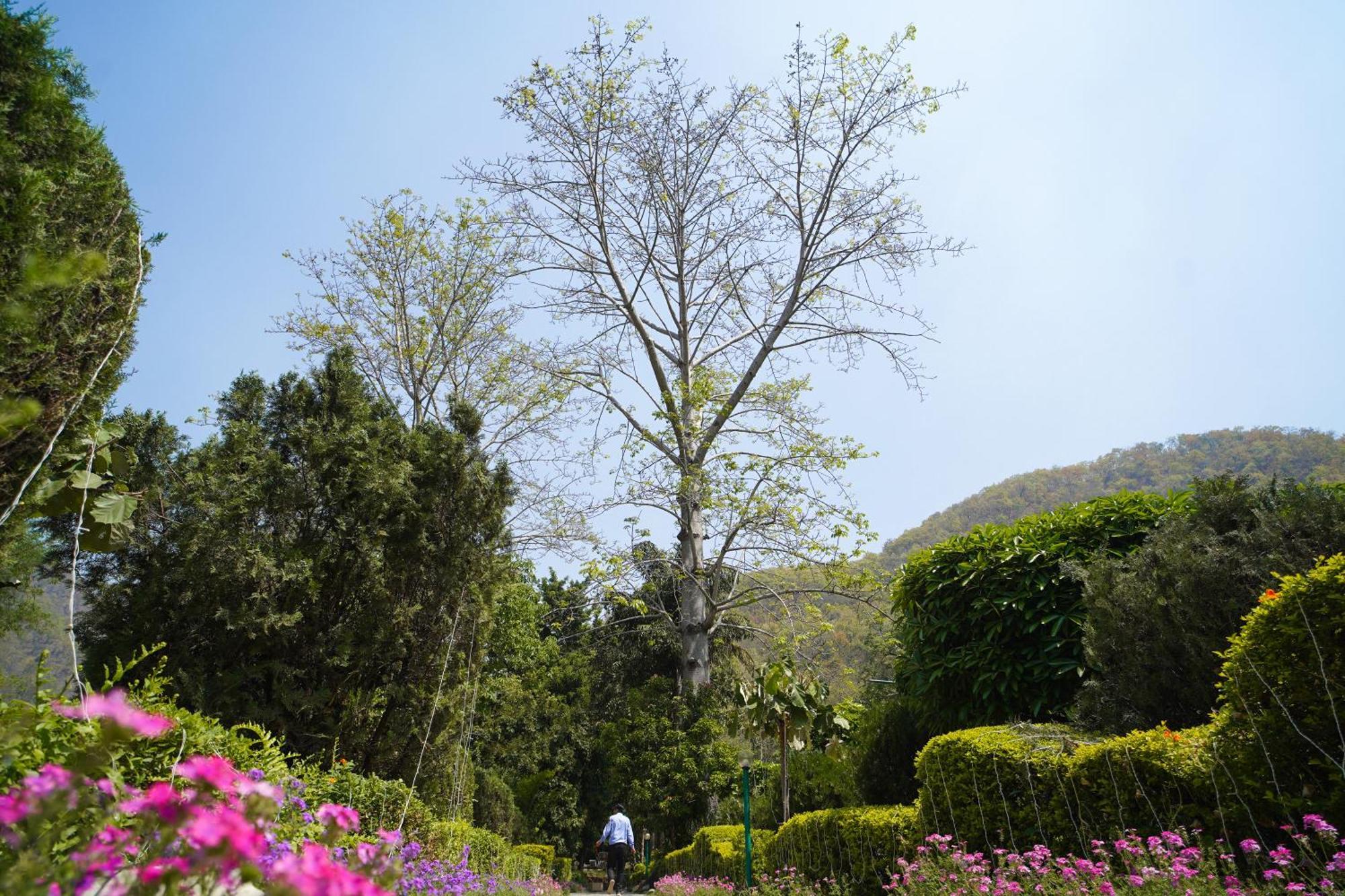 เดอะโซลลูนารีสอร์ท Garjia ภายนอก รูปภาพ
